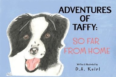 bokomslag Adventures of Taffy