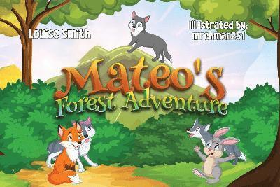 Louise Smith - Mateo's Forest Adventure, Häftad