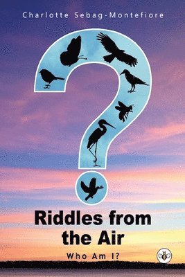 Riddles from the Air 1