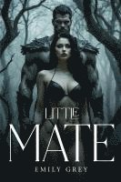 bokomslag Little Mate