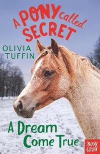 bokomslag A Pony Called Secret: A Dream Come True