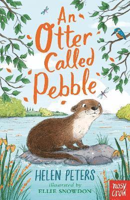 bokomslag An Otter Called Pebble