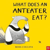 bokomslag What Does An Anteater Eat?
