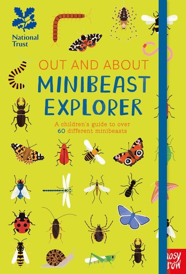 bokomslag National Trust: Out and About Minibeast Explorer