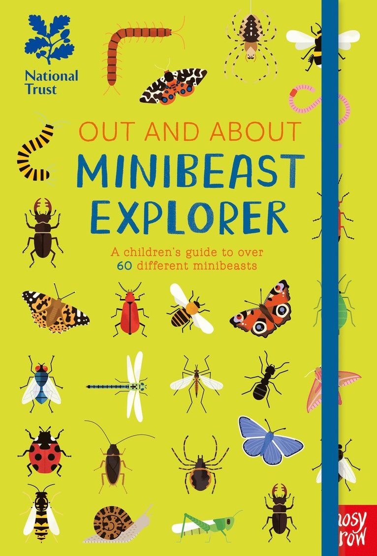 Robyn Swift - National Trust: Out and About Minibeast Explorer, Inbunden