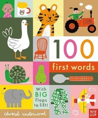 bokomslag 100 First Words