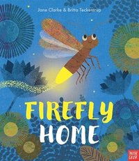 bokomslag Firefly Home