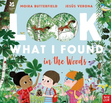 Moira Butterfield - National Trust: Look What I Found in the Woods, Häftad
