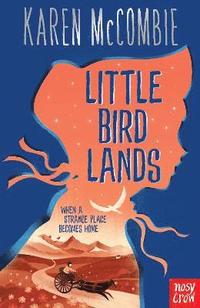 bokomslag Little Bird Lands
