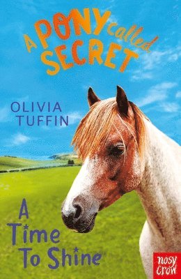 bokomslag A Pony Called Secret: A Time To Shine