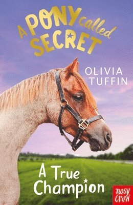 A Pony Called Secret: A True Champion 1