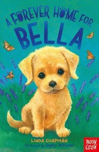 bokomslag Forever Home for Bella