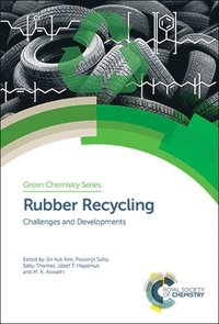 bokomslag Rubber Recycling