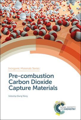 bokomslag Pre-combustion Carbon Dioxide Capture Materials