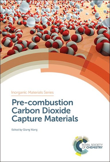 bokomslag Pre-combustion Carbon Dioxide Capture Materials