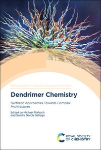 bokomslag Dendrimer Chemistry