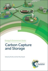bokomslag Carbon Capture and Storage
