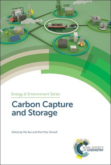 Mai Bui, Niall Mac Dowell - Carbon Capture and Storage, Inbunden