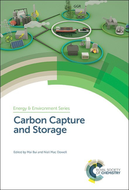 Mai Bui, Niall Mac Dowell, UK) Bui, Mai (Imperial College London, UK) Mac Dowell, Niall (Imperial College London - Carbon Capture and Storage, Inbunden