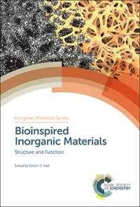 bokomslag Bioinspired Inorganic Materials