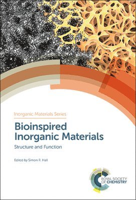 bokomslag Bioinspired Inorganic Materials
