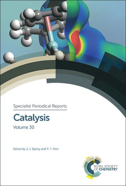 James J Spivey, Yi-Fan Han, James J. Spivey - Catalysis, Inbunden