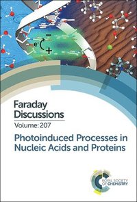 bokomslag Photoinduced Processes in Nucleic Acids and Proteins