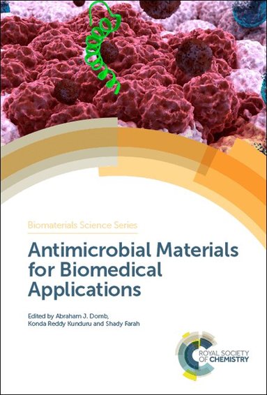 Abraham J Domb, Konda Reddy Kunduru, Shady Farah - Antimicrobial Materials for Biomedical Applications, Inbunden