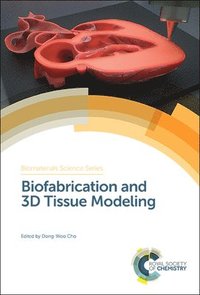 bokomslag Biofabrication and 3D Tissue Modeling