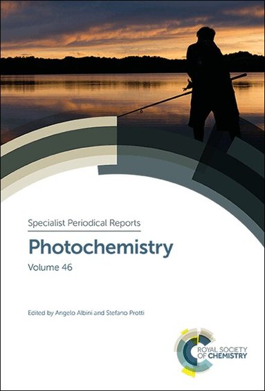 Angelo Albini, Stefano Protti - Photochemistry, Inbunden