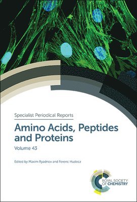 Maxim Ryadnov, Ferenc Hudecz - Amino Acids, Peptides and Proteins, Inbunden