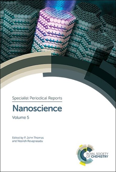 P John Thomas, Neerish Revaprasadu - Nanoscience, Inbunden