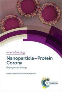bokomslag NanoparticleProtein Corona
