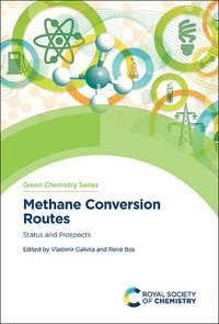 bokomslag Methane Conversion Routes