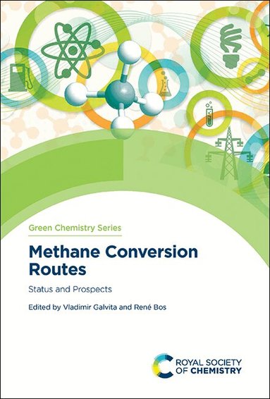 Vladimir Galvita, René Bos - Methane Conversion Routes, Inbunden