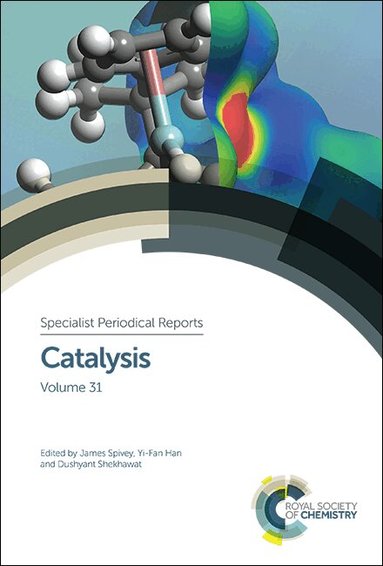 James J Spivey, Yi-Fan Han, Dushyant Shekhawat - Catalysis, Inbunden