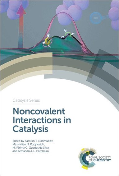 Kamran T Mahmudov, Maximilian N Kopylovich, M Fatima C Guedes da Silva, Armando J L Pombeiro - Noncovalent Interactions in Catalysis, Inbunden