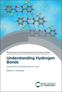 bokomslag Understanding Hydrogen Bonds