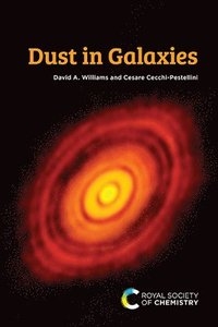 bokomslag Dust in Galaxies