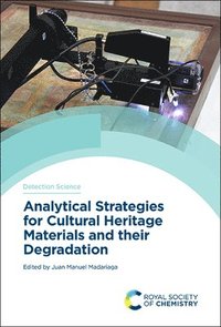 bokomslag Analytical Strategies for Cultural Heritage Materials and their Degradation