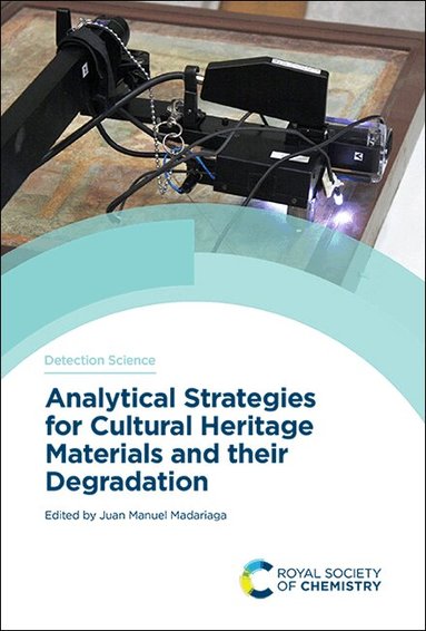 Juan Manuel Madariaga - Analytical Strategies for Cultural Heritage Materials and their Degradation, Inbunden