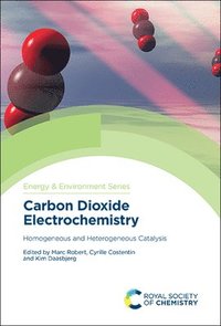 bokomslag Carbon Dioxide Electrochemistry