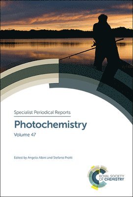 bokomslag Photochemistry