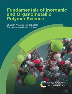 Fundamentals of Inorganic and Organometallic Polymer Science 1