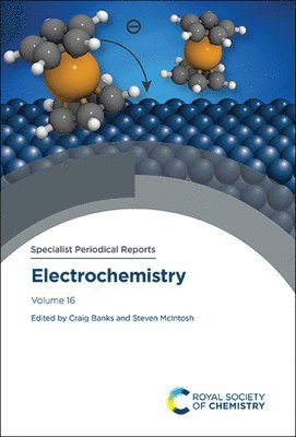 Craig E Banks, Steven McIntosh, Craig E. Banks - Electrochemistry, Inbunden