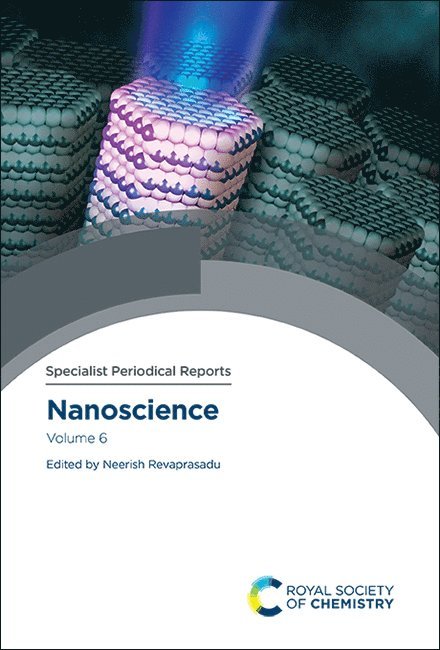 Neerish Revaprasadu - Nanoscience, Inbunden
