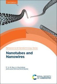 bokomslag Nanotubes and Nanowires