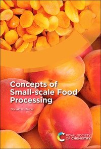 bokomslag Concepts of Small-scale Food Processing