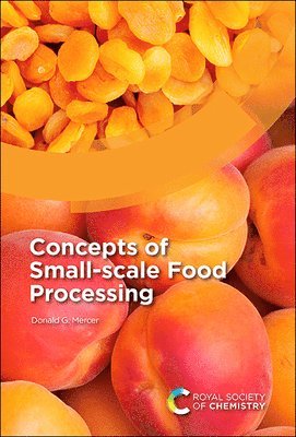 bokomslag Concepts of Small-scale Food Processing