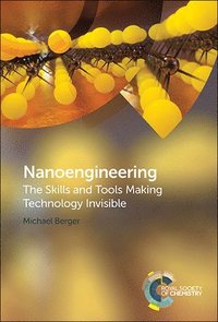 bokomslag Nanoengineering